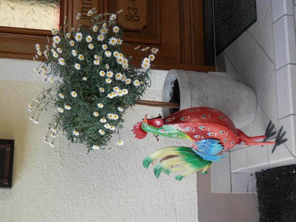 Gastehaus Einodberg Hotel Mittersill Kültér fotó